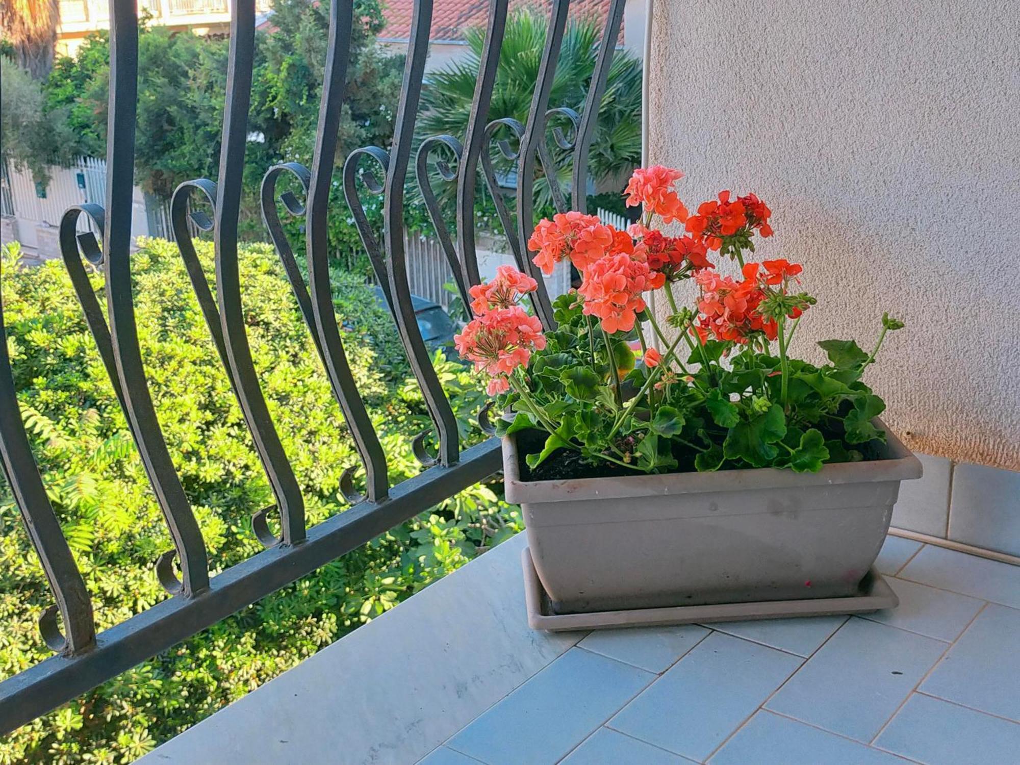 A Casa Di Mara Daire Mondello Dış mekan fotoğraf